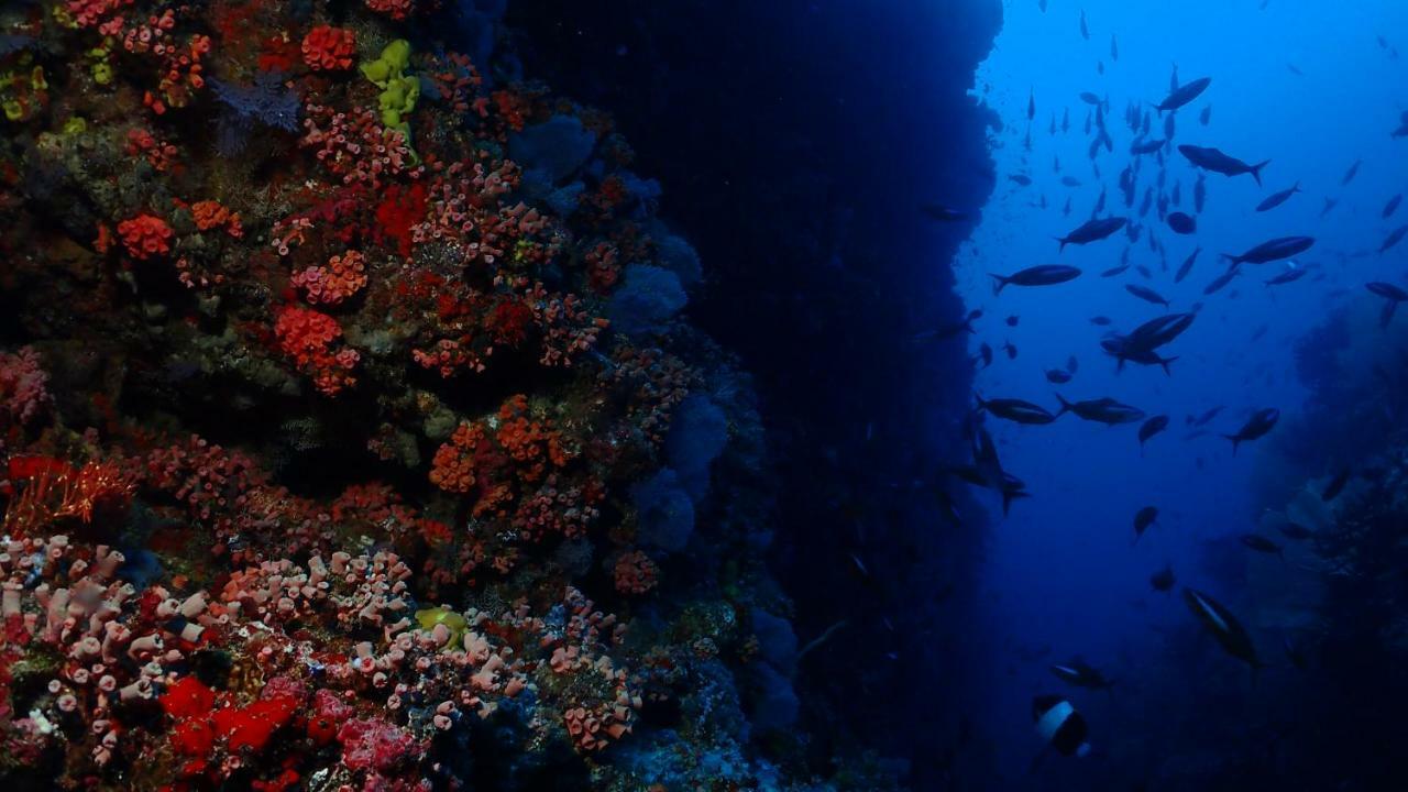 Boutique Beach All Inclusive Diving Hotel Dhigurah  Zewnętrze zdjęcie