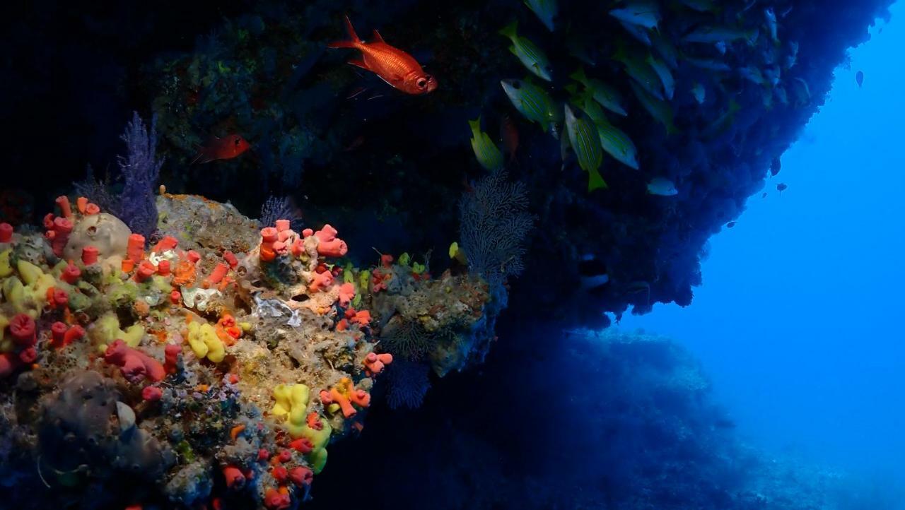 Boutique Beach All Inclusive Diving Hotel Dhigurah  Zewnętrze zdjęcie